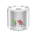Sunsun Fishable Fish Home Aquarium Tank de pescado acrílico Mini Pequeño Tank de Acuario Mesa de escritorio de escritorio pequeño Fish1