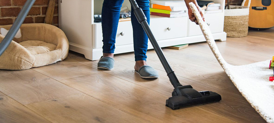 جاروبرقی خانگی