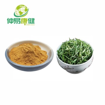 China Top 10 Green Tea Extract Weight Loss Brands