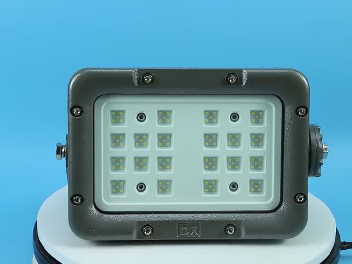 Explosion proof light-8189