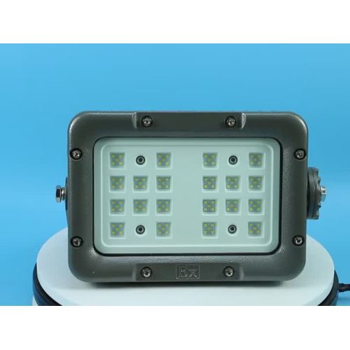 Explosion proof light-8189