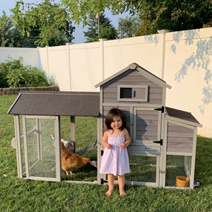 Chicken Coop