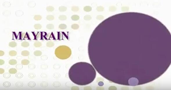 SHIJIAZHUANG MAYRAIN IE CO.,LTD.