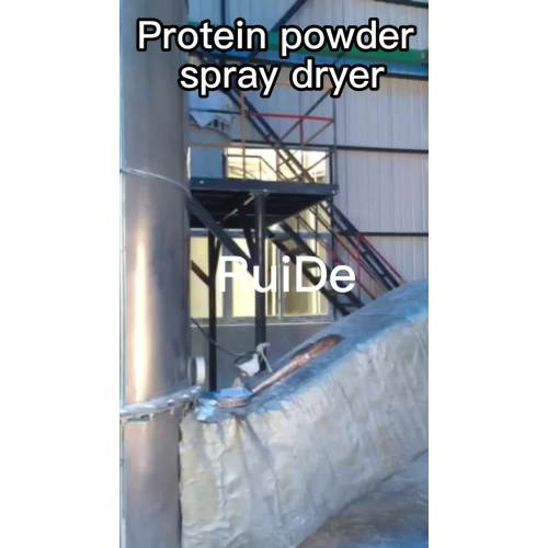 Secador de pulverización en polvo de proteína