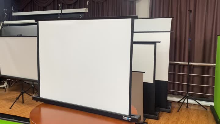 Projector Mini screen