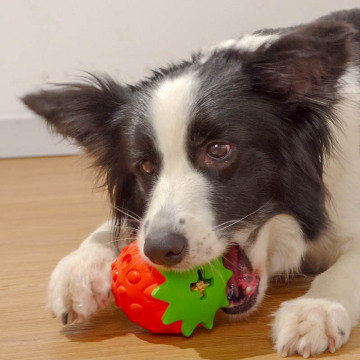 DOG TREAT TOY STRAW BERR-YKPT-R03