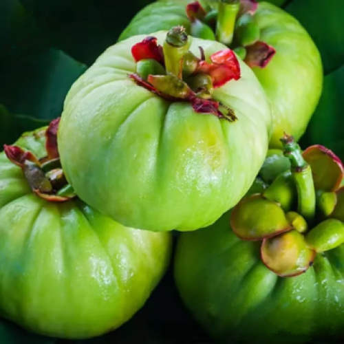 Garcinia Cambogia- a Natural Weight Loss Product That Inhibits Fat Synthesis