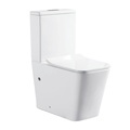 New Zealand Modern Design Ceramic Washdown Watermark Toilet 21701