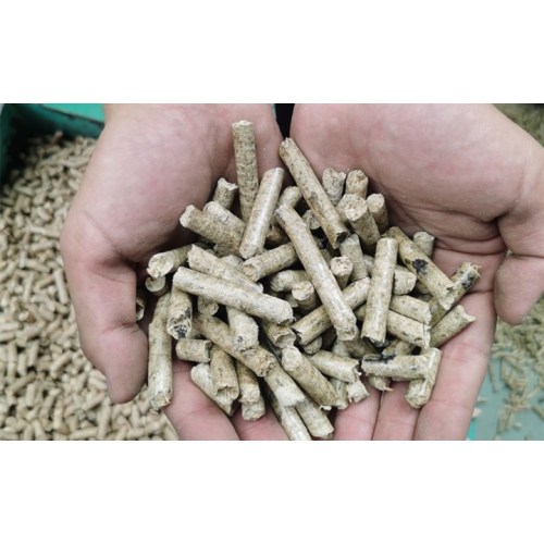 Biomass fuel pellet machine pellet demand has exploded in global economic regions