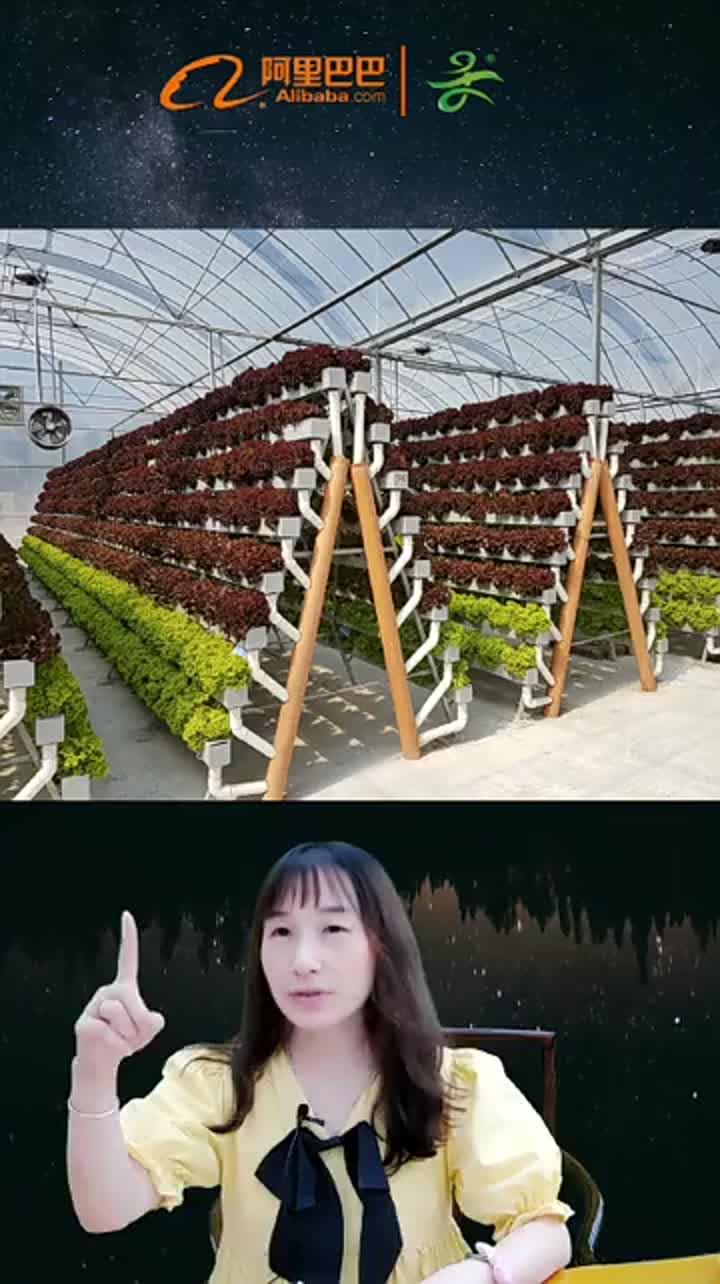 A Type hydroponics