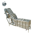 Industrial Garlic Cleaning Machine with Air Bubble Technology1