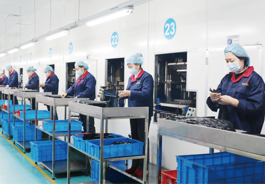 Kunshan Tetlock Sealing Technology Co., Ltd