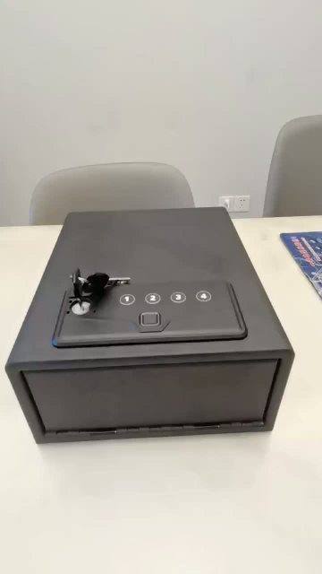 Fingerprint entry and elimination of handgun case