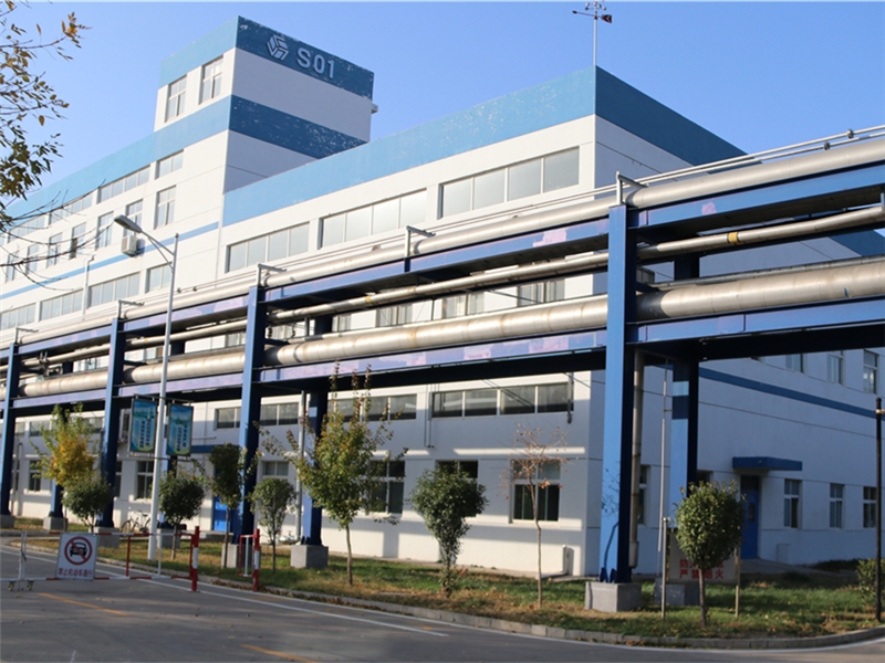 Shandong Shengli Bioengineering Co., Ltd