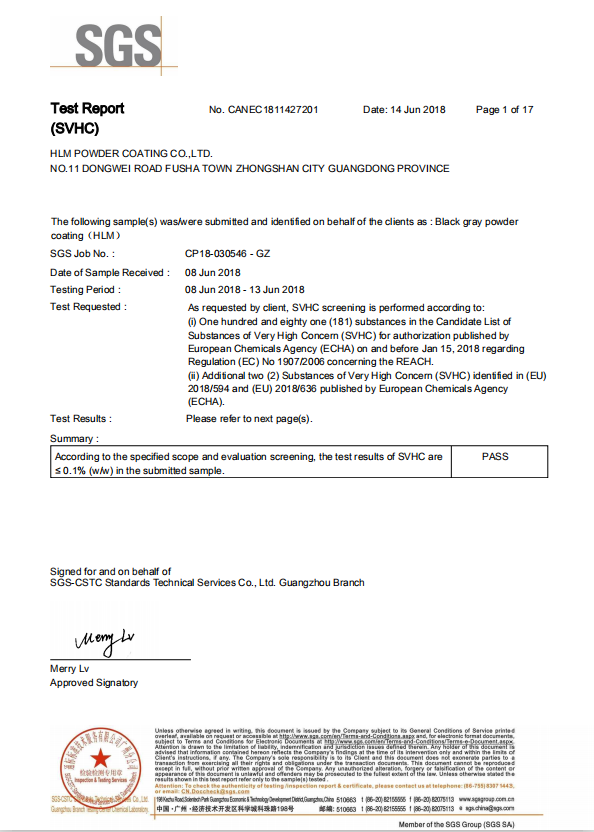 SGS examining report