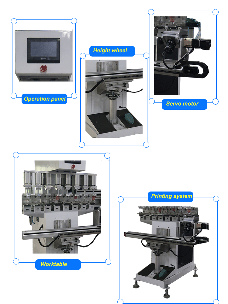 Servo 6 Colors