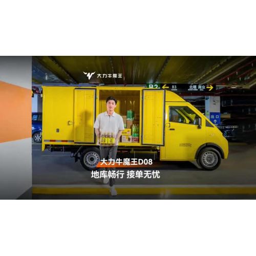 D08 low cargo van electric vehicle