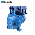 Brushless Solar Surface Water Pumps for Irrigation (24V, 48V, 72V)1