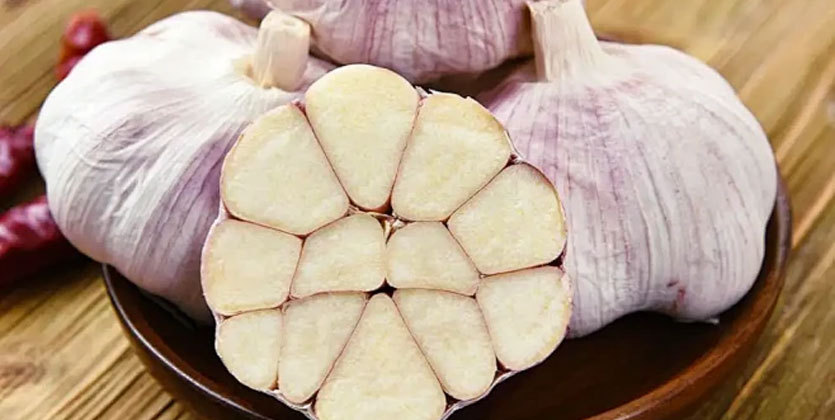 Our Journey From Hearts