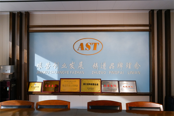 ZHEJIANG AOSITE AUTO PARTS CO.,LTD