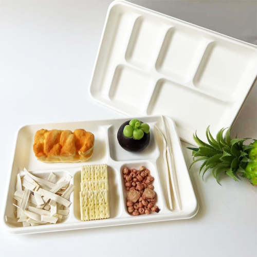 Biodegradable 100% sugarcane pulp 6 compartment tray 