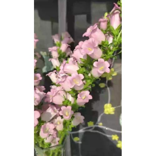الجملة الزهور الطازجة قطع الجريس الوردي لحفل الزفاف والديكور الحدث