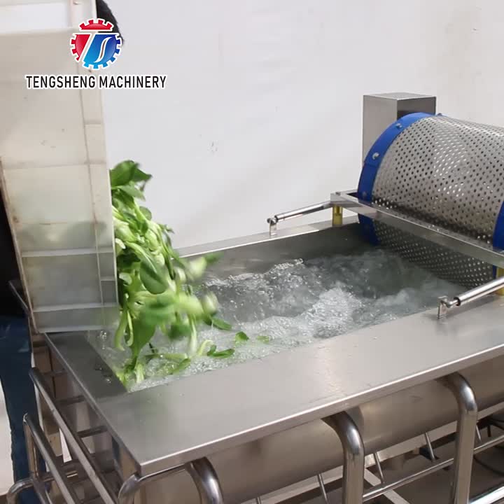 Tipo contínuo de máquina de lavar com bolhas vegetais TS-X680D