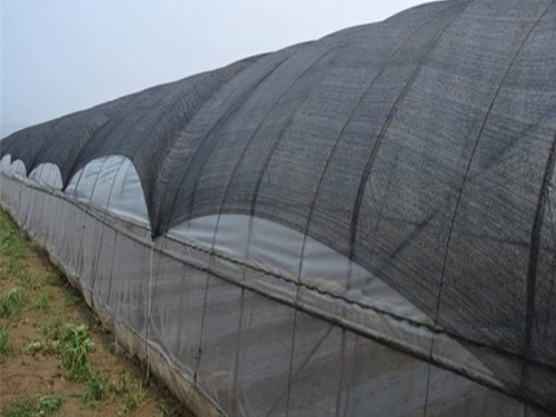 Guia do Ultimate líquido de sol: tipos + especificações + uso + dicas para evitar armadilhas comuns - um artigo abrangente!