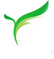 SHIJIAZHUANG YINGFANG TRADE CO.,LTD 