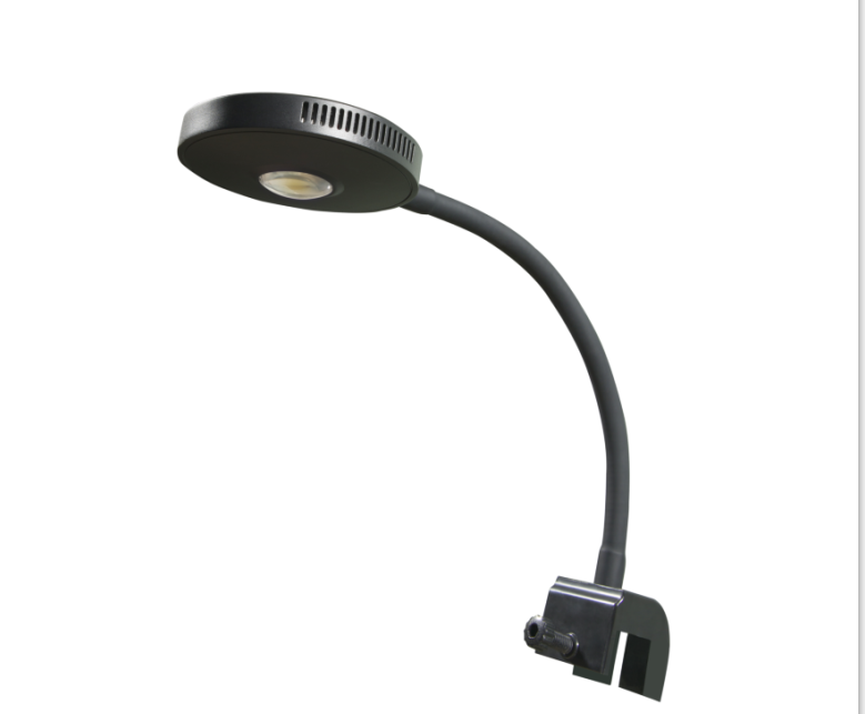 Lampe à LED corallienne Q4