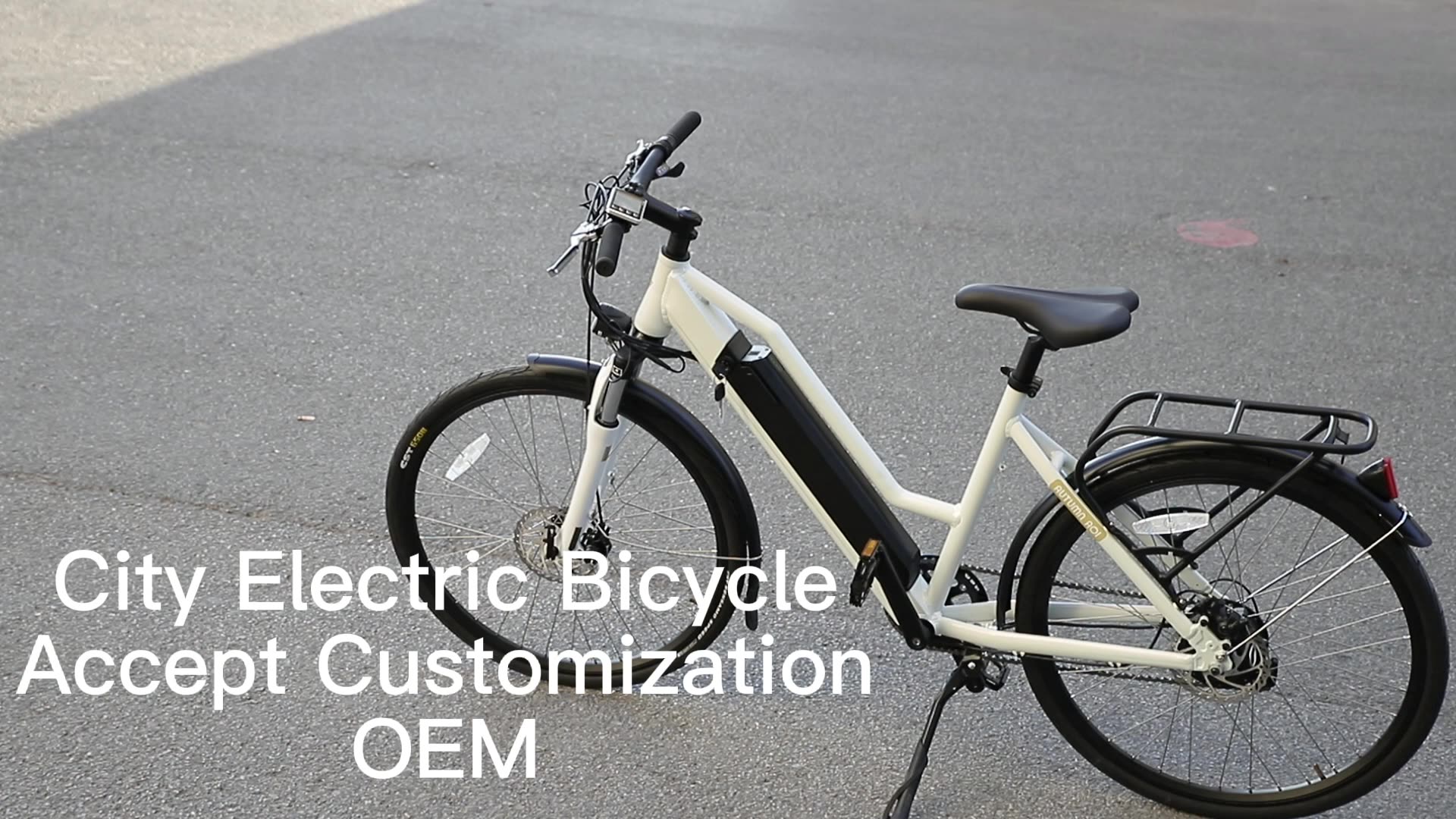CB002 hochwertige Langstrecke 250W 36 V City Elektrofahrrad Ebike E Bikes1