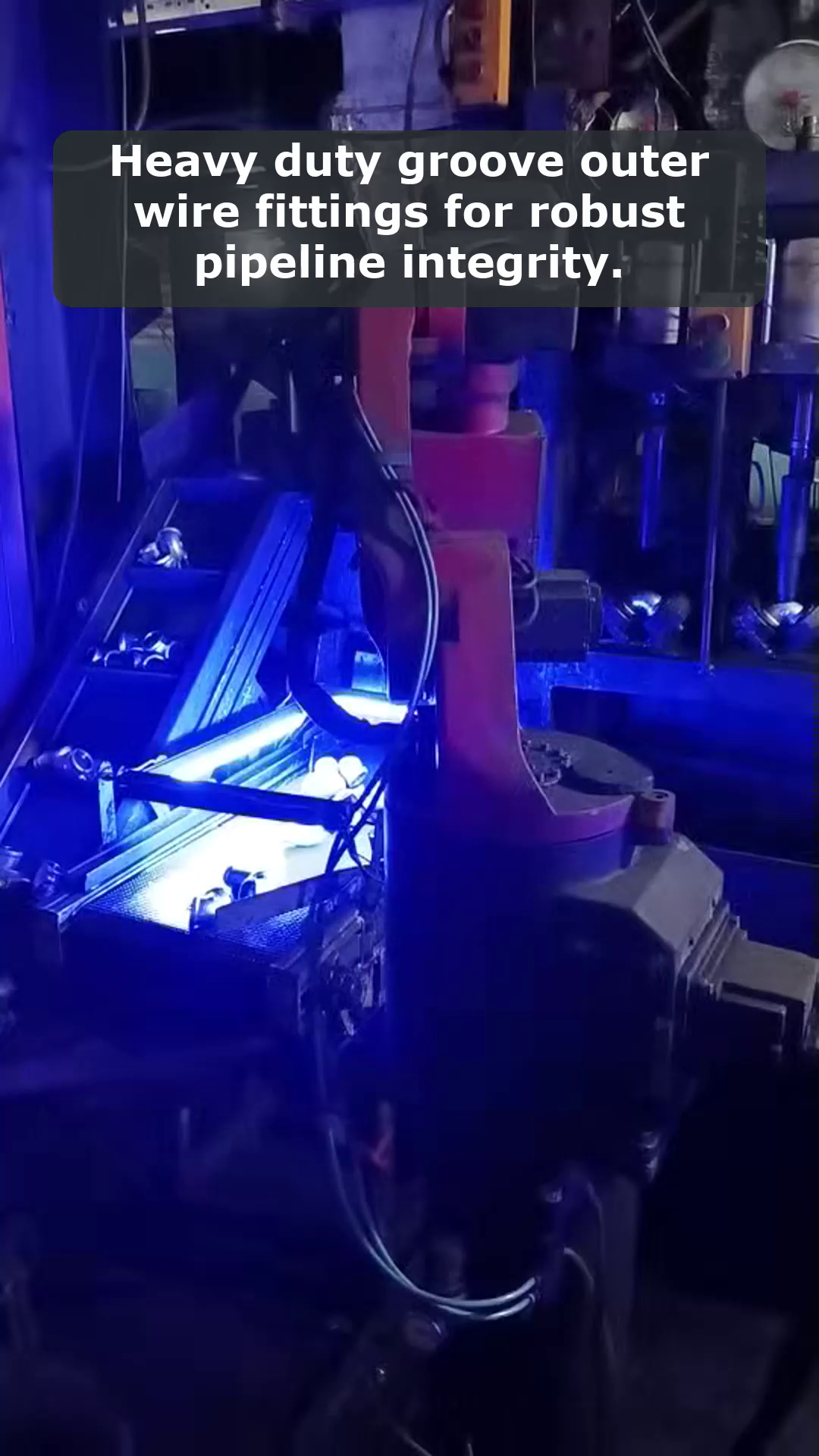 ভিডিও 4