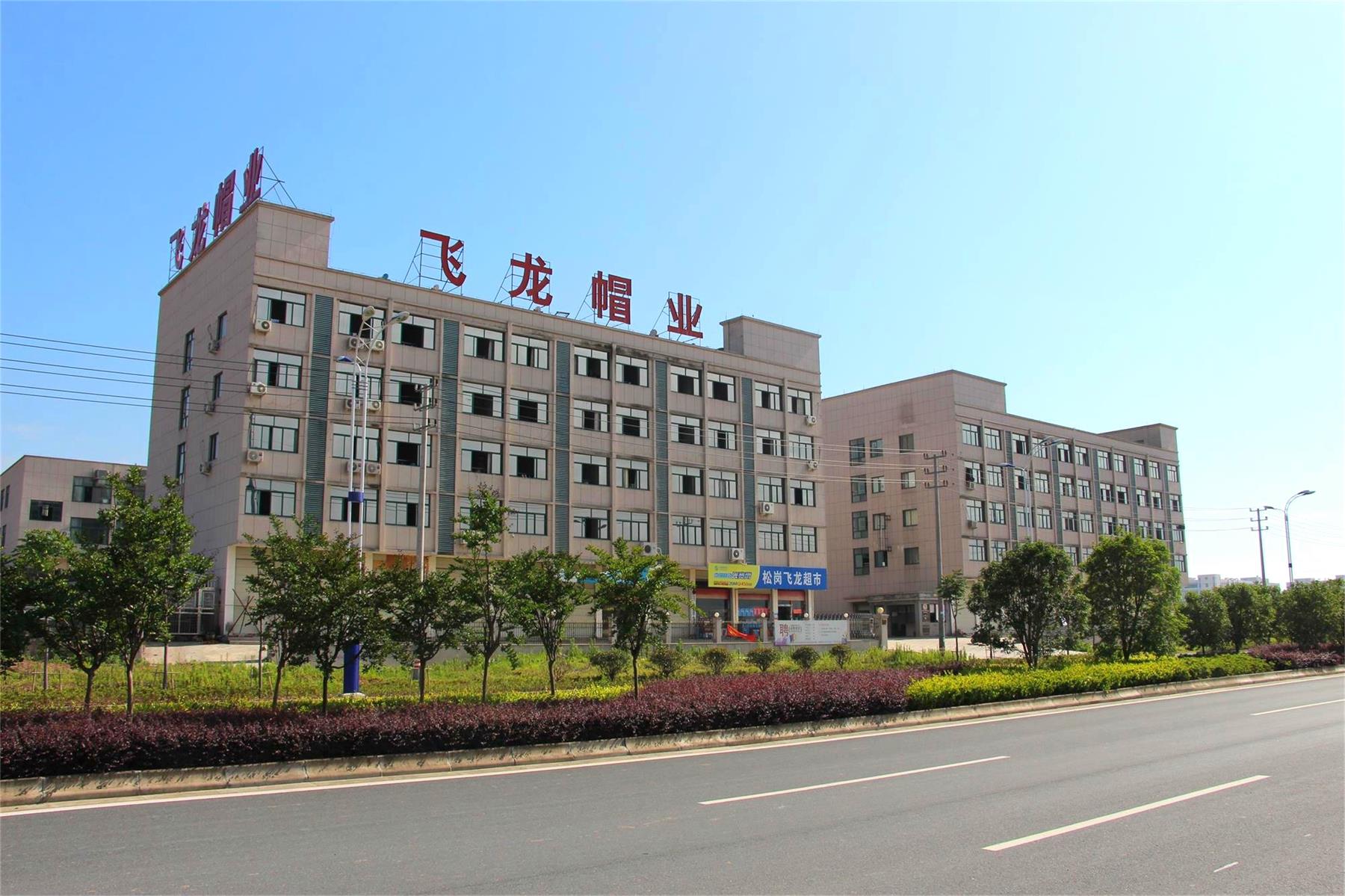 Dongyang City Feilong Cap Co., Ltd.