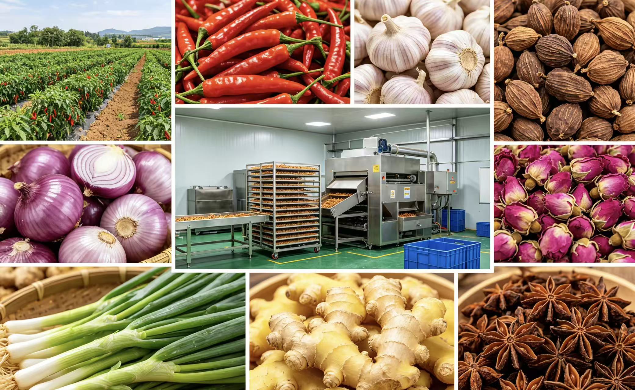 Yunnan Runbo Agricultural Technology Co., Ltd.