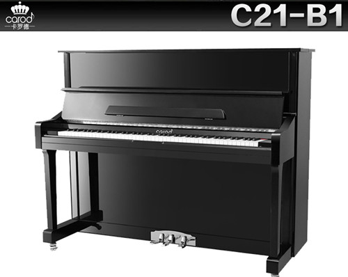 Changsha Yuehe Musical Instrument Co., Ltd.