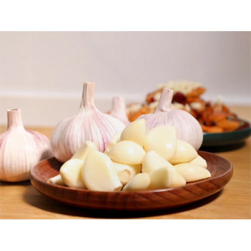 L’industrie mondiale de l’ail maintient une croissance stable en 2026, avec l’équilibre entre l’offre et la demande et la différenciation de la qualité comme tendances clés