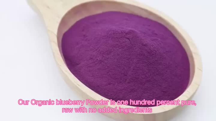 organic blueberry powder