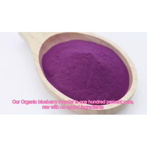 organic blueberry powder