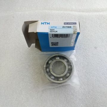 Brand Bearing