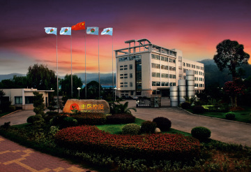 2021 Factory True View