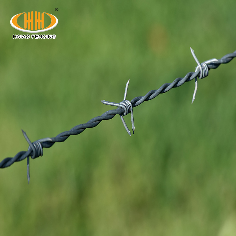 Kakisan Keselamatan Tinggi Tahan Tahan 3 helai Twist Steel Farm Penjara Kawat Barbed Wire1