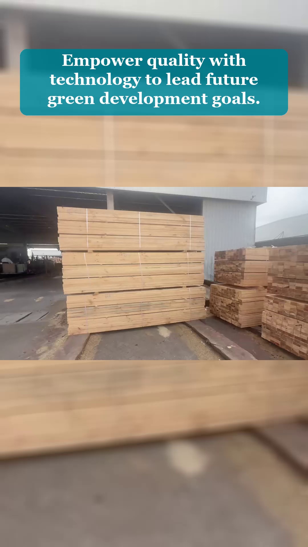 Video 113