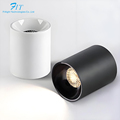 Flicker-Free Adjustable Reflective 12W LED Downlight1