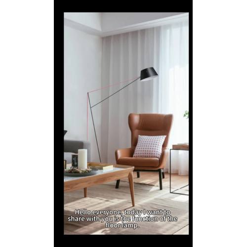 The function of the floor lamp