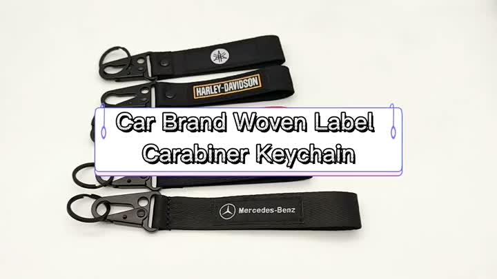 Carabiner Car Schlüsselbund