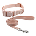 Summer Training Collar & Leash Set for Cats and Dogs1