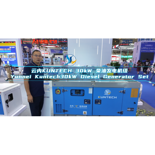 Grupo electrógeno silencioso de 30 KW | Artesanía de precisión de doble voltaje, adaptable a diversas condiciones de trabajo