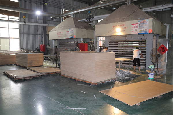 Linyi Fengzhize Trading Co., Ltd.