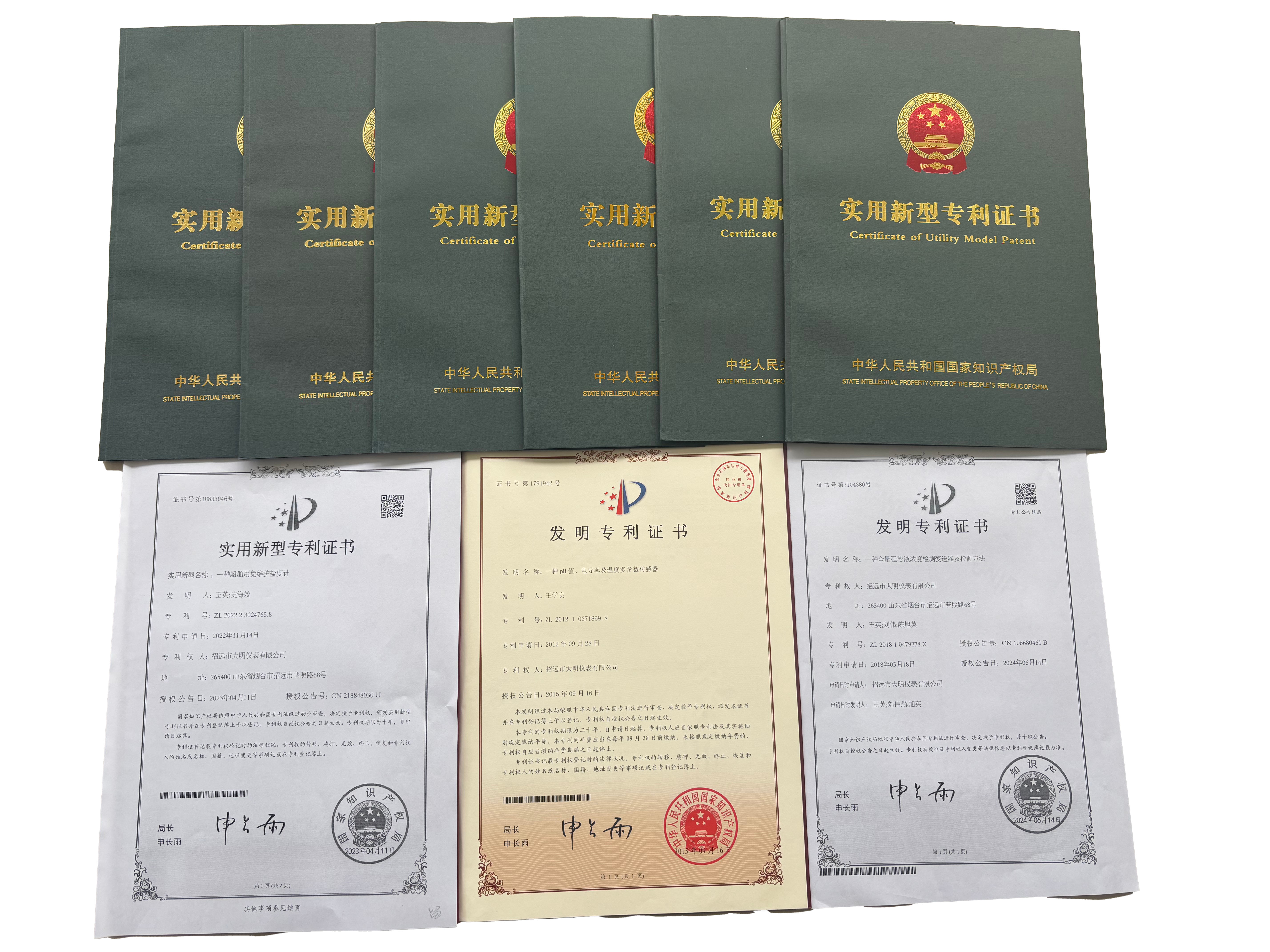 Patent Certificate 1