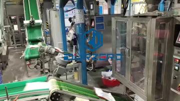 Detergent Powder Packaging Machine